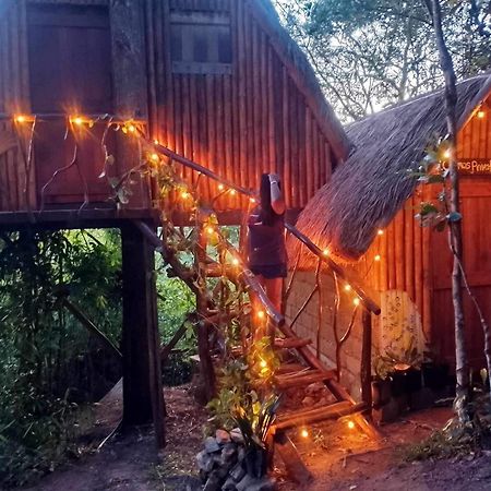 Sanctuaria Treehouses Бусуанга Екстериор снимка