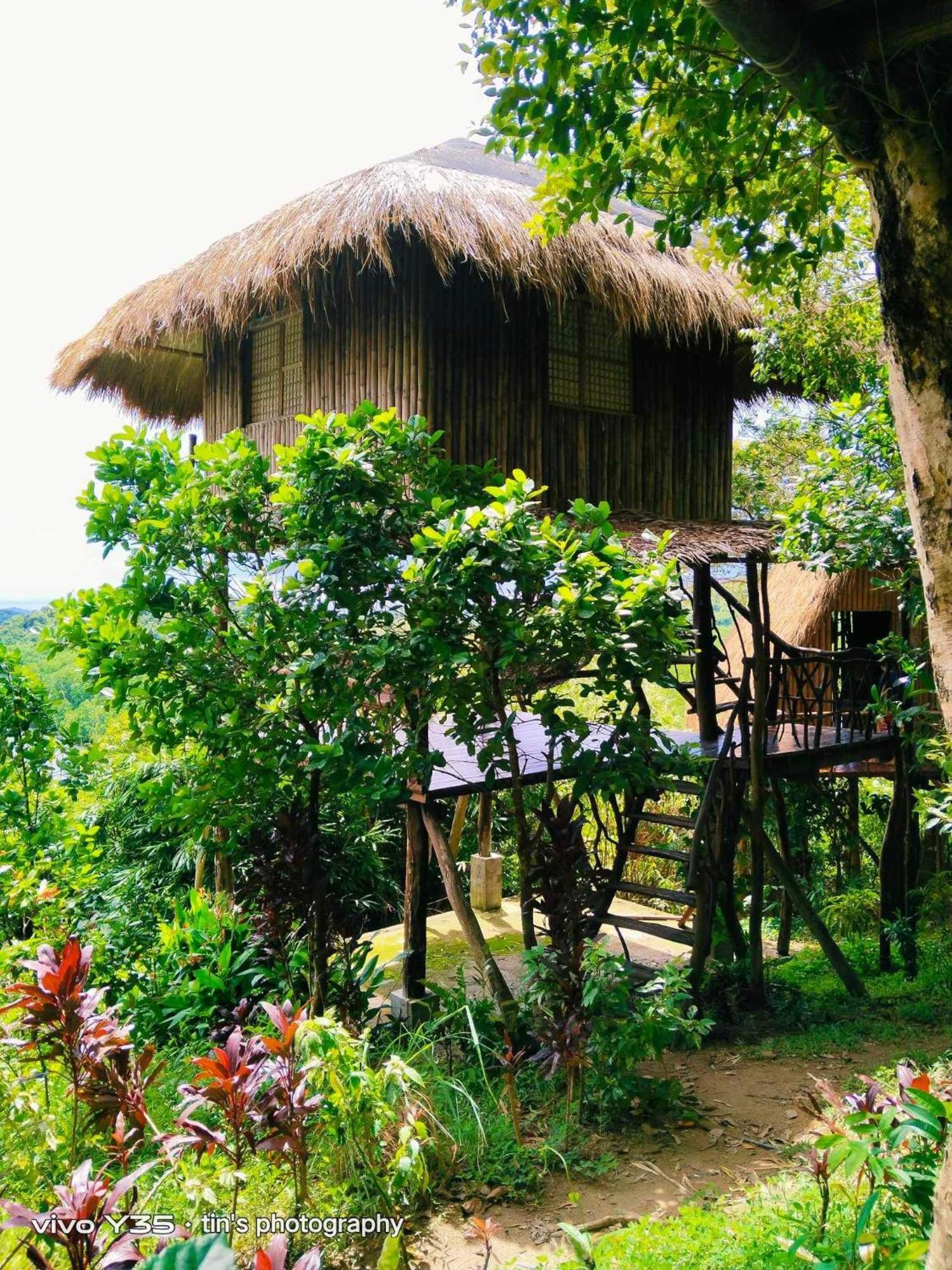 Sanctuaria Treehouses Бусуанга Екстериор снимка