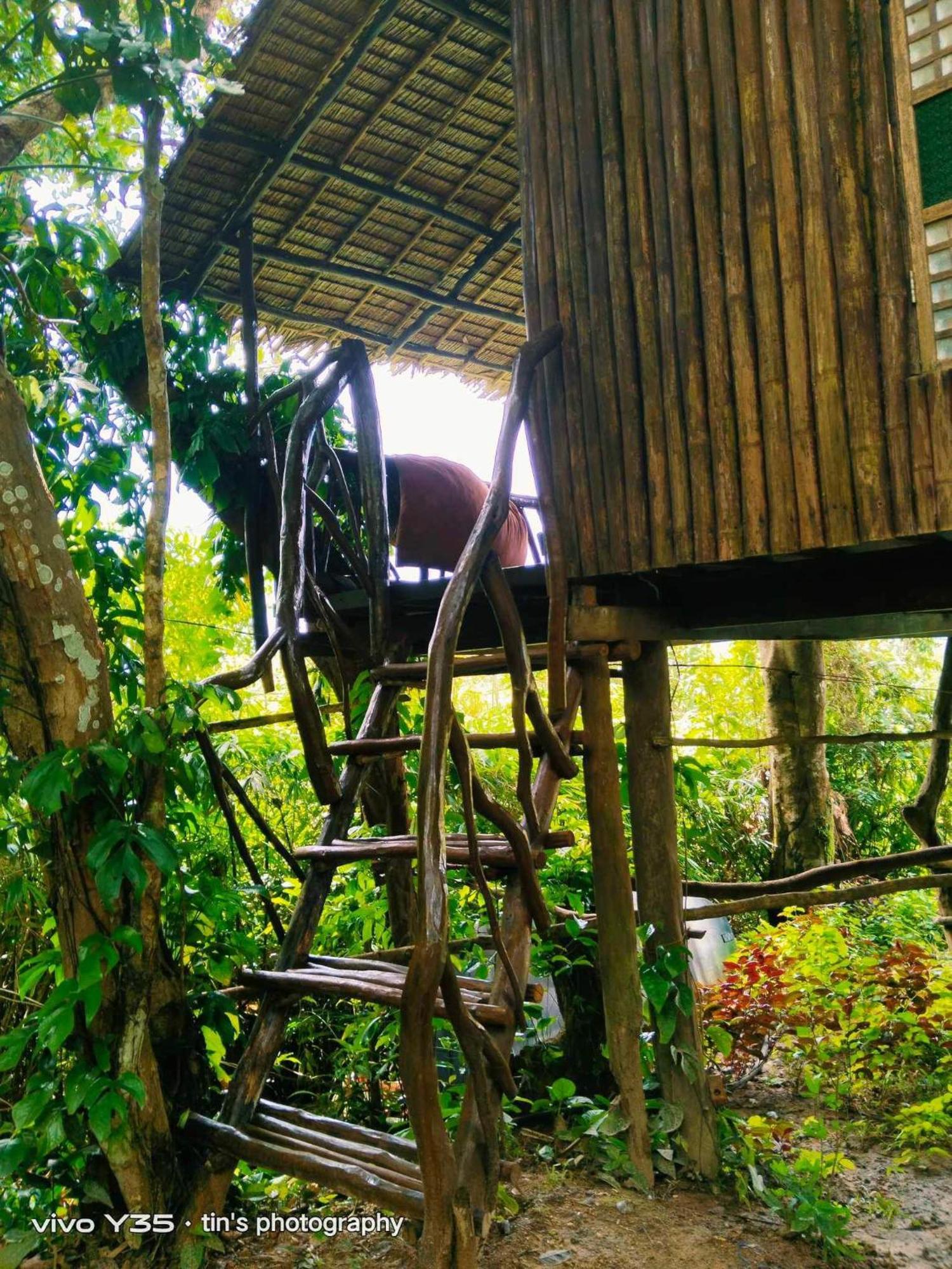 Sanctuaria Treehouses Бусуанга Екстериор снимка
