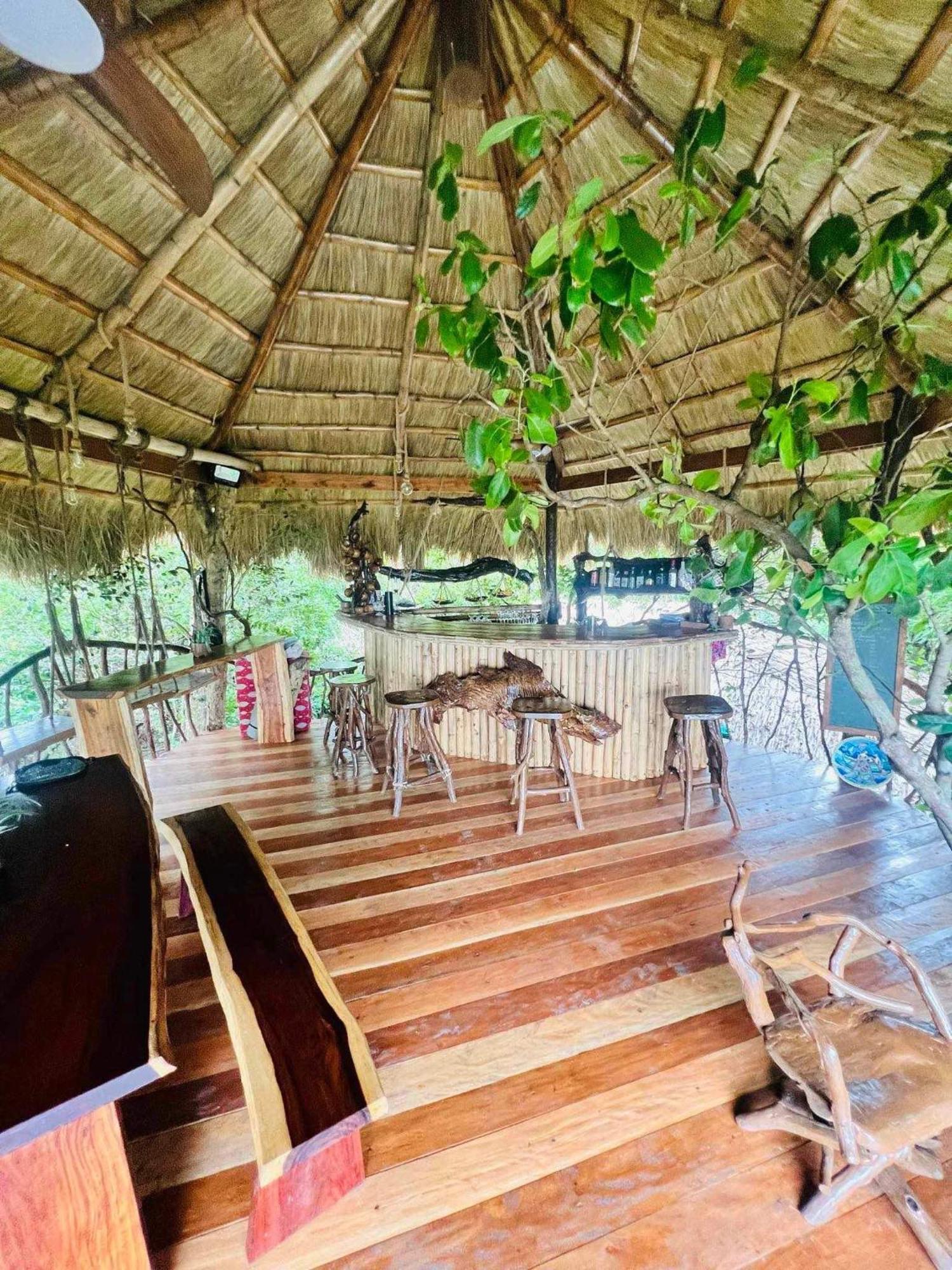 Sanctuaria Treehouses Бусуанга Екстериор снимка