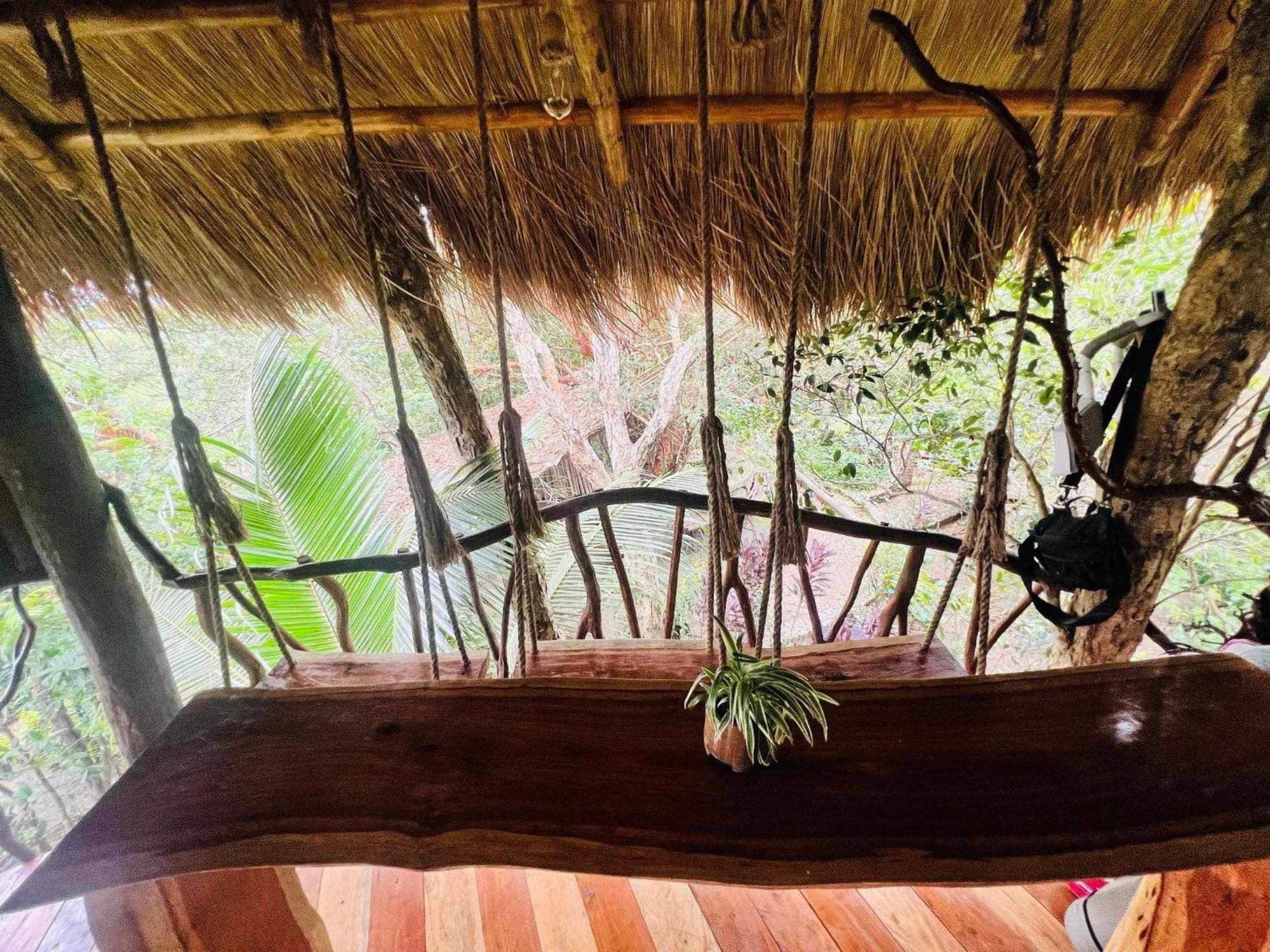 Sanctuaria Treehouses Бусуанга Екстериор снимка