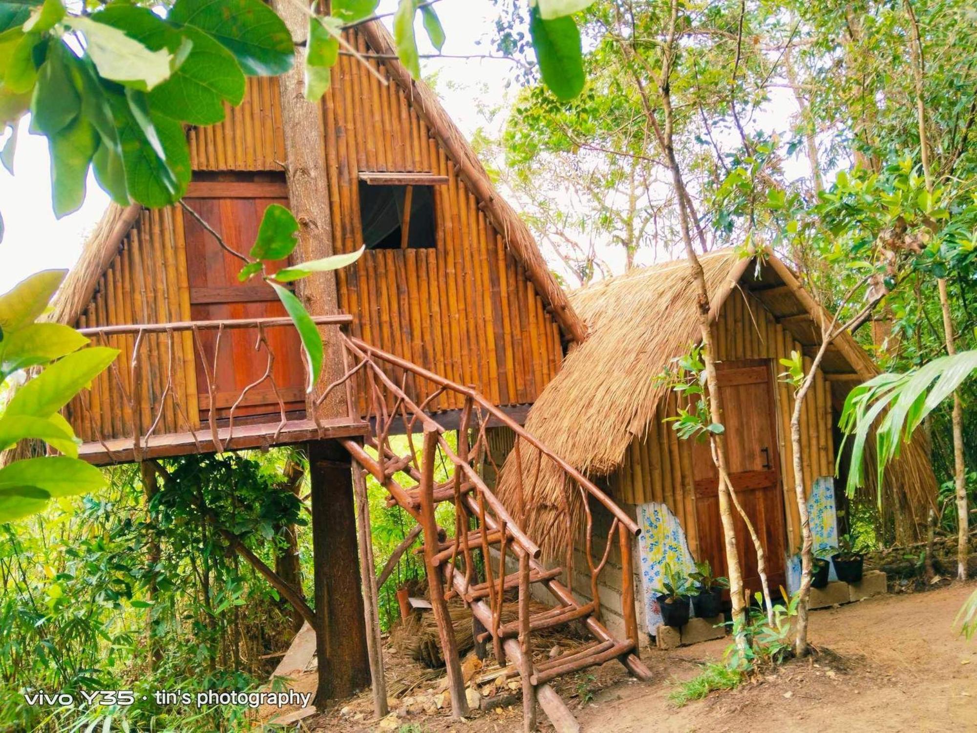Sanctuaria Treehouses Бусуанга Екстериор снимка